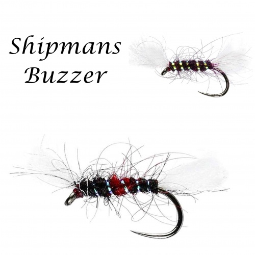 Shipmans Buzzer